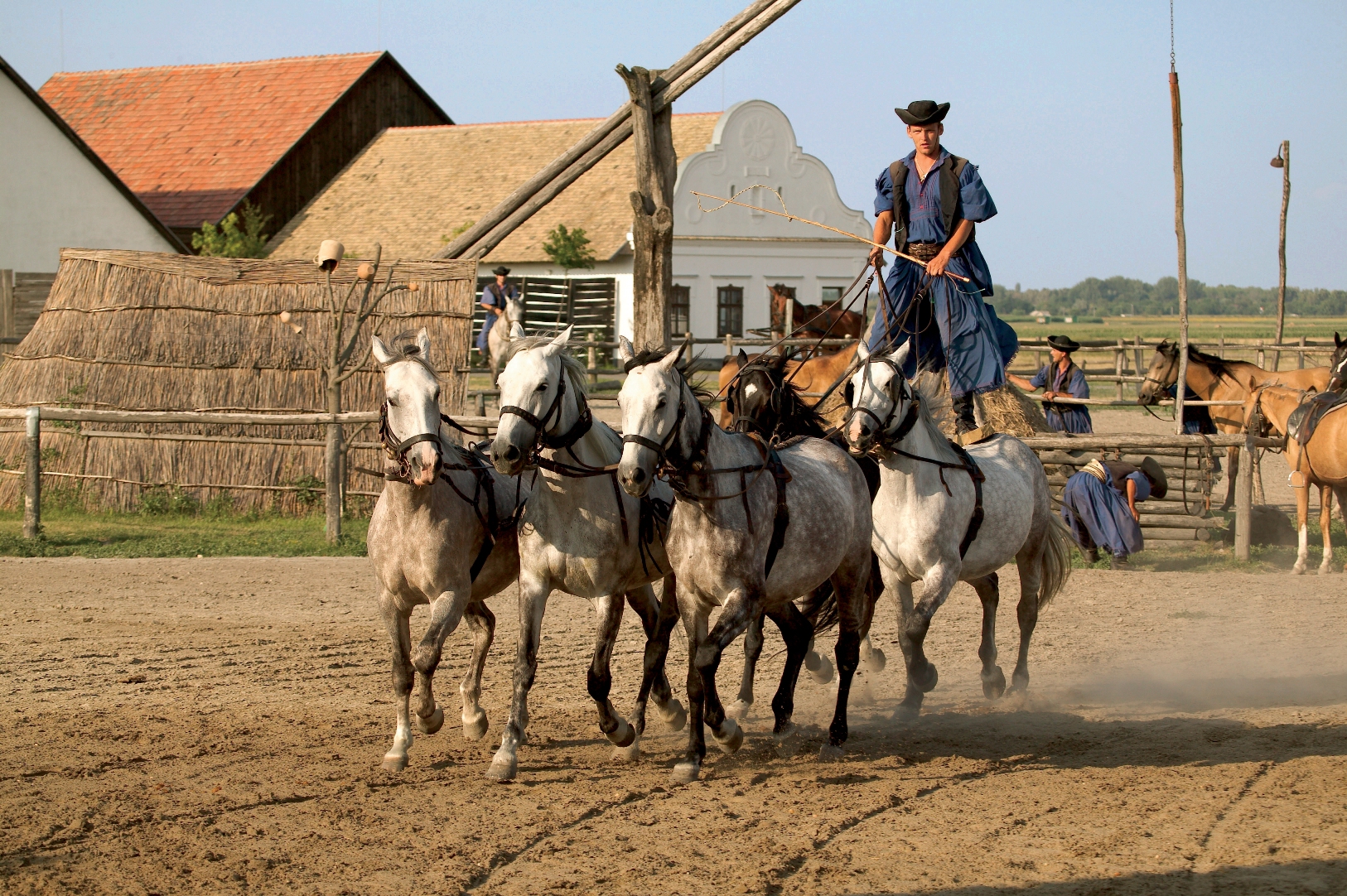 Amadeus River Cruises - Amadeus Star - Enrichment Kalosca.jpg